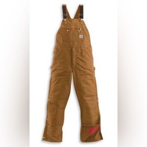NWT CARHARTT MEN'S QUILT-LINED ZIP-TO-THIGH BIB OVERALLS size 48/30